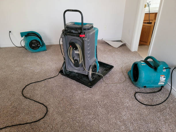 Best Basement water damage restoration  in Fayette, AL