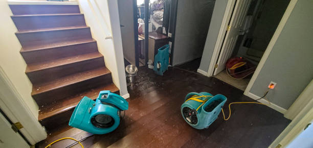Best Flood damage cleanup  in Fayette, AL