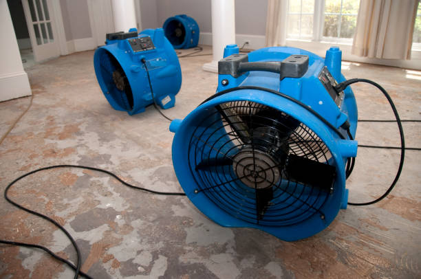 Best Flood restoration services  in Fayette, AL