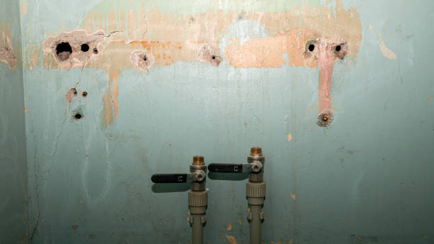  Fayette, AL Water damage restoration Pros