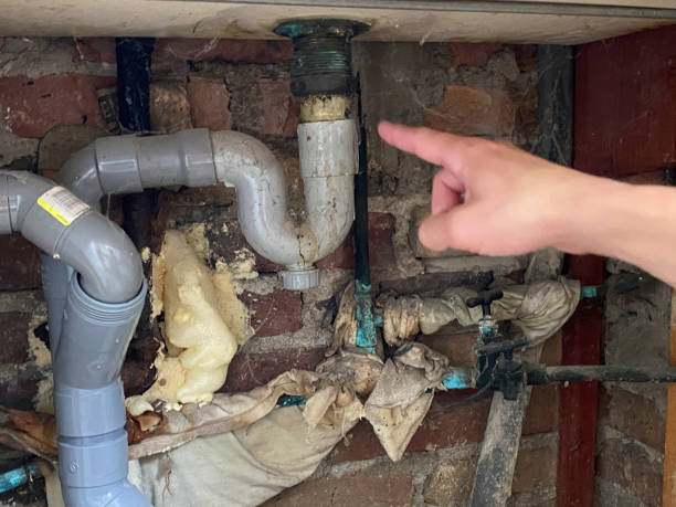 Best Water damage restoration near me  in Fayette, AL